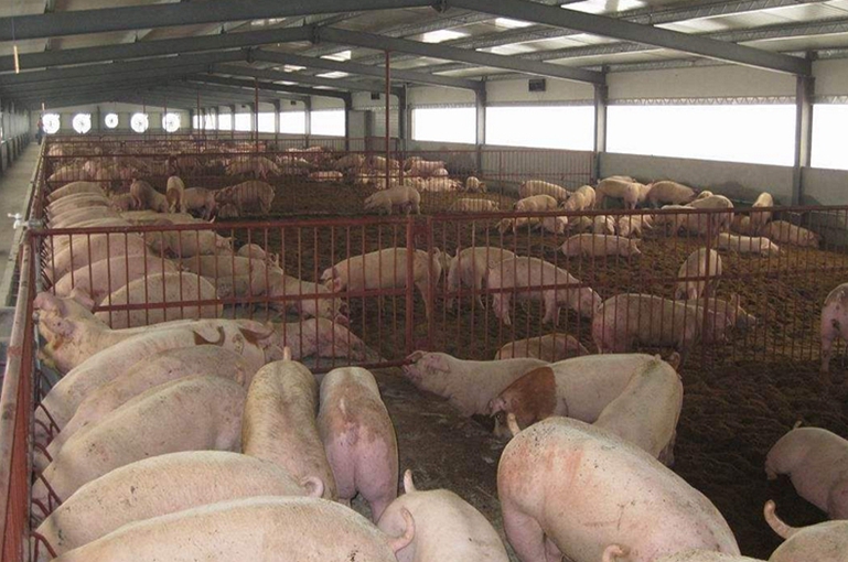 養(yǎng)殖場適合用紫外線消毒燈嗎？