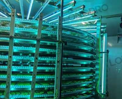 食品廠防爆紫外線殺菌燈：保障食品生產(chǎn)環(huán)境安全的利器！