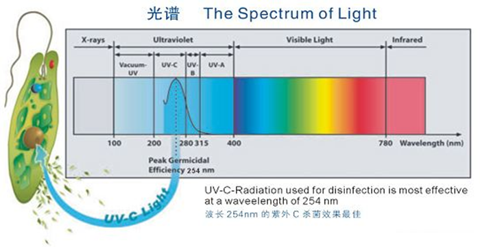 科普！紫外線殺菌燈對人體影響及正確使用方法
